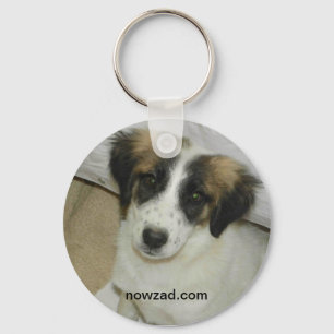 Chaveiro Keyring do ponto do salvamento de Nowzad