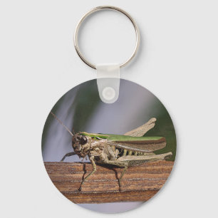 Chaveiro Keyring verde pequeno do gafanhoto