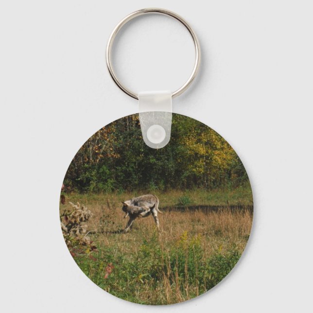 Chaveiro Kissing Bumbum Donkey (Frente)