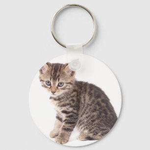 Chaveiro kitten