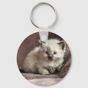 Chaveiro Kitten Keyring