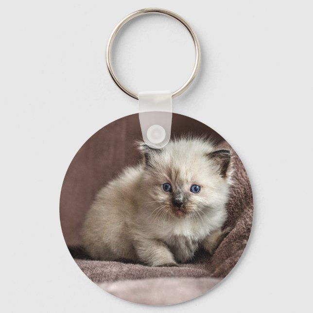 Chaveiro Kitten Keyring (Frente)