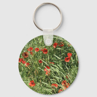 Chaveiro klaproos-sleutelhanger