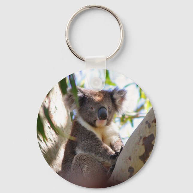 Chaveiro Koala Bears Aussi Destino (Frente)