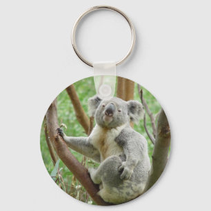 Chaveiro Koala de Kuddly