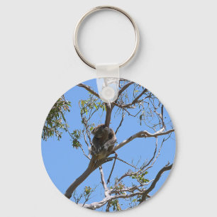 Chaveiro Koala Nap