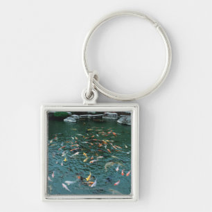 Chaveiro Koi em uma lagoa