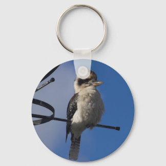 Chaveiro Kookaburra