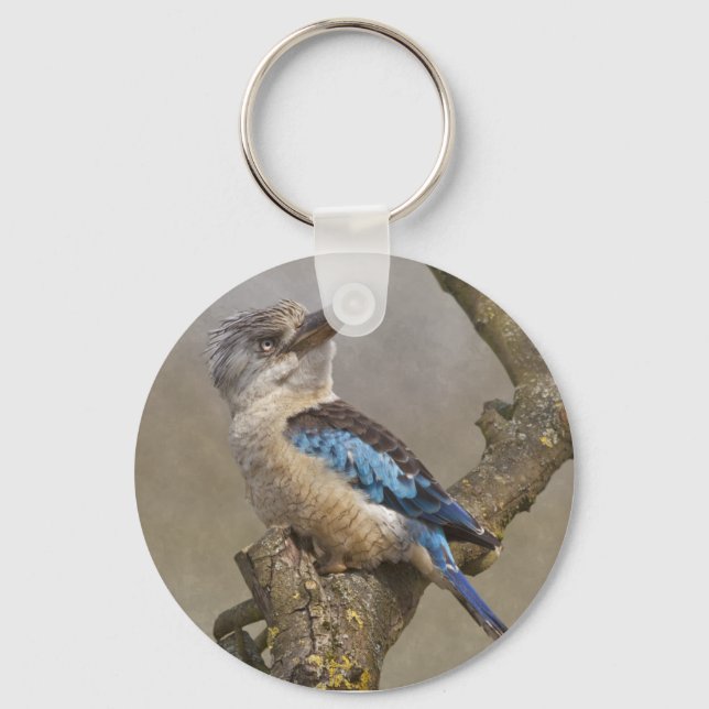 Chaveiro Kookaburra Keyring (Frente)