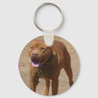 Chaveiro KozMoeKeyChain
