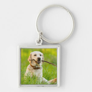 Chaveiro Labrador Amarelo Reproduz Busca Com Stick