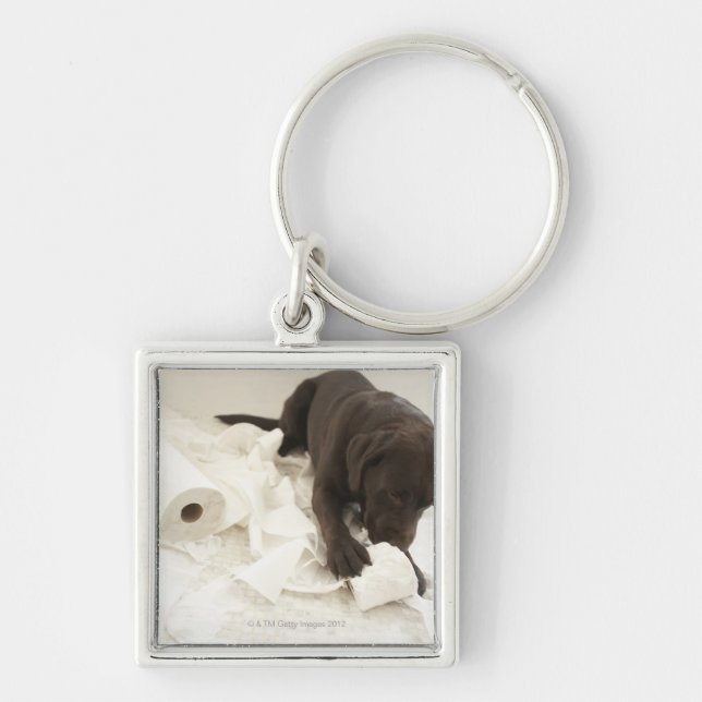 Chaveiro Labrador castanho chocolate (Frente)
