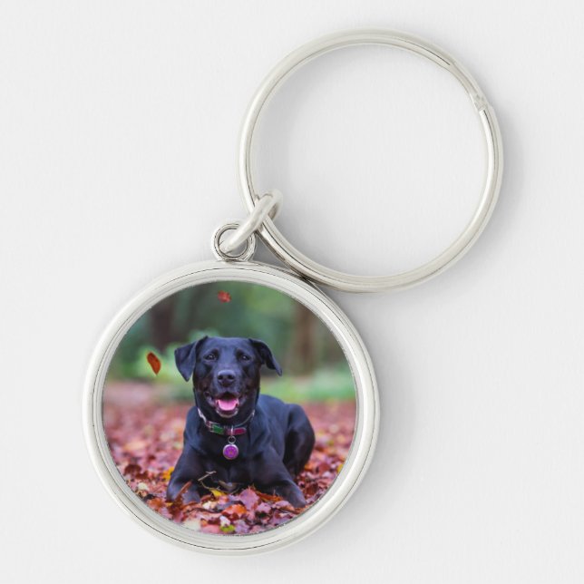 Chaveiro Labrador Negro Em Folhas De outono (Frente)