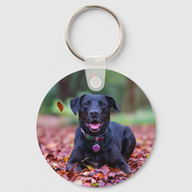 Chaveiro Labrador Negro Em Folhas De Queda (Frente)
