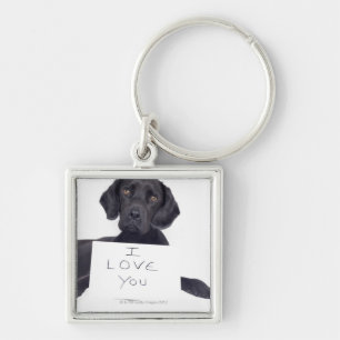 Chaveiro Labrador preto 13 meses