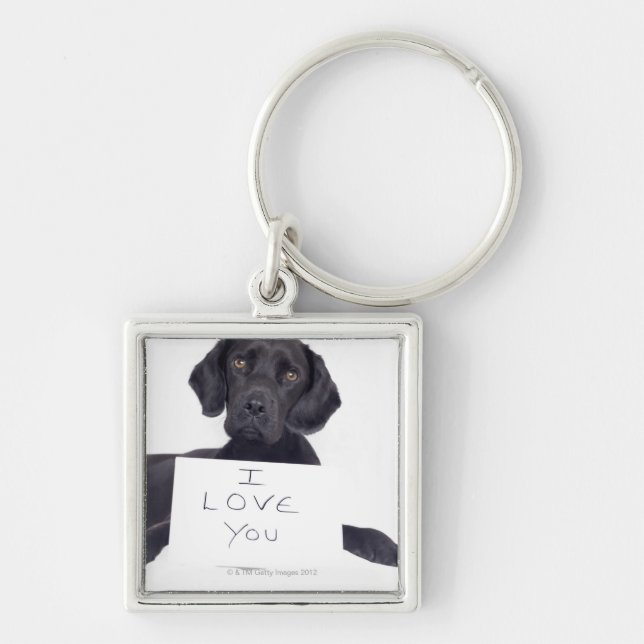 Chaveiro Labrador preto 13 meses (Frente)