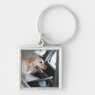 Chaveiro Labrador retriever