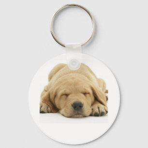 Chaveiro Labrador retriever amarelo