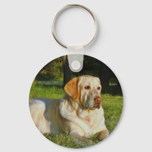 Chaveiro Labrador retriever amarelo