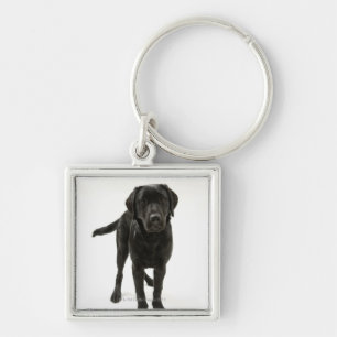 Chaveiro Labrador retriever preto
