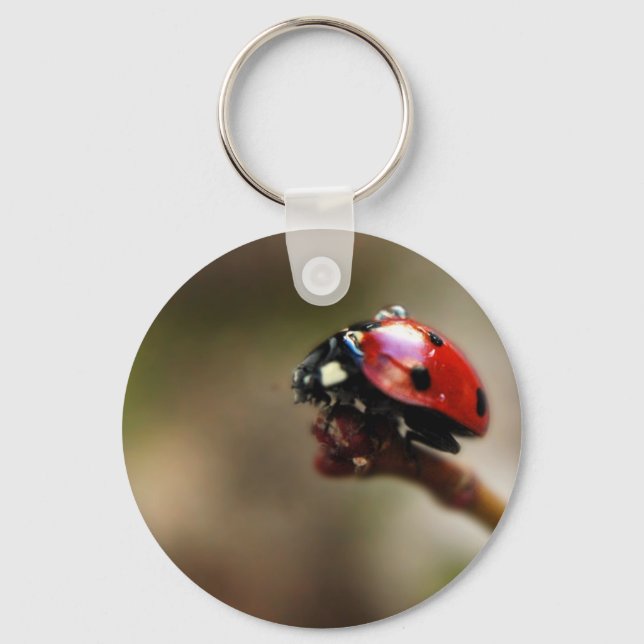 CHAVEIRO LABYBIRD (Frente)