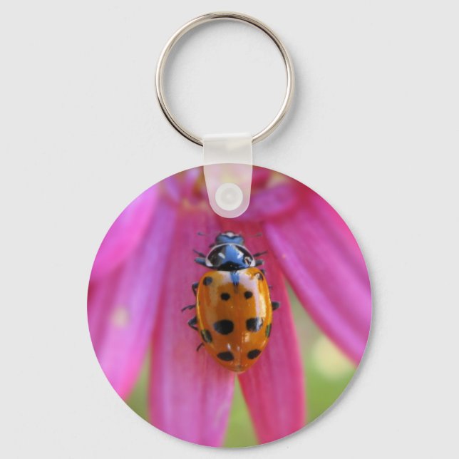 Chaveiro Ladybug (Frente)