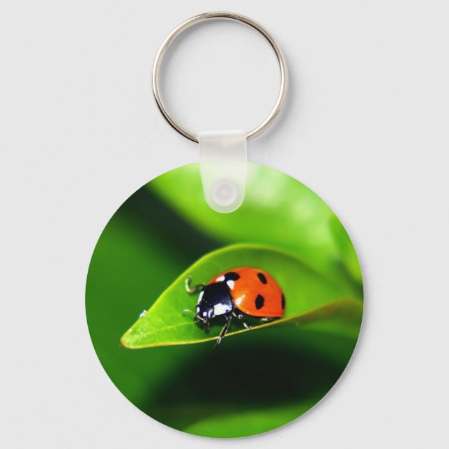Chaveiro Ladybug (Frente)
