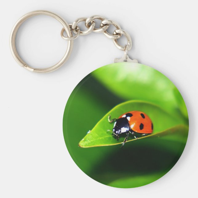Chaveiro Ladybug (Frente)