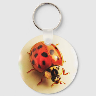Chaveiro Ladybug