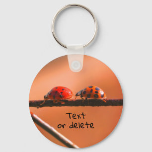 Chaveiro Ladybug Buddies Nature Personalizado