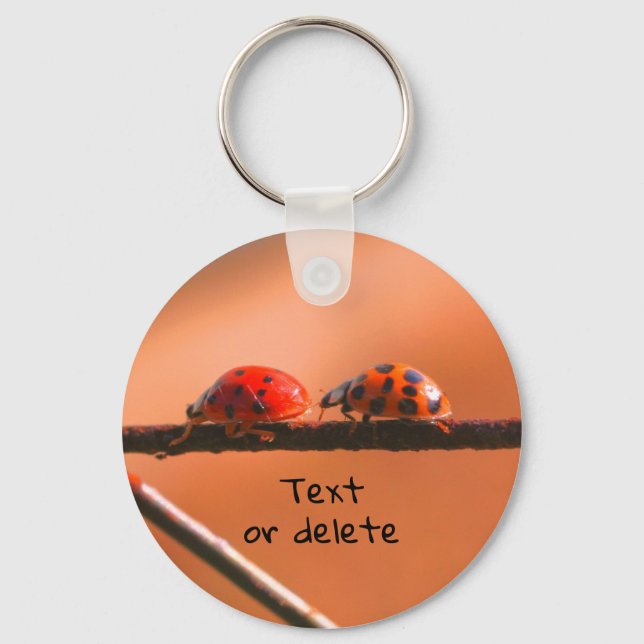 Chaveiro Ladybug Buddies Nature Personalizado (Frente)
