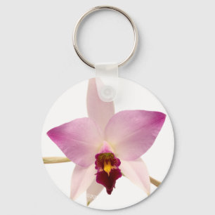 Chaveiro Laelia Ancep