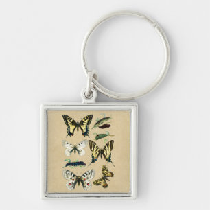 Chaveiro Lagartas, borboletas e traças de Swallowtail
