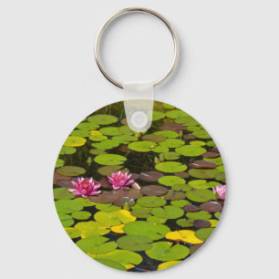Chaveiro Lagoa de jardim aquífero rosa