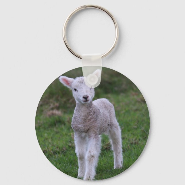 Chaveiro Lamb Baby Shea Fazenda Animal (Frente)