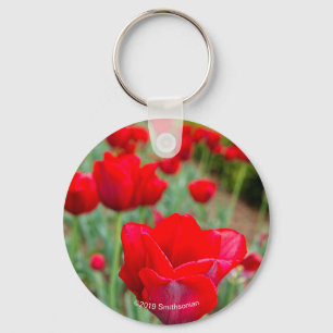 Chaveiro Lâmpadas Haupt, Fechamento