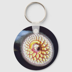 Chaveiro Lampreia de mar