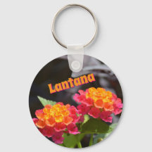Lantana Bright Colorful Botanical Flowers