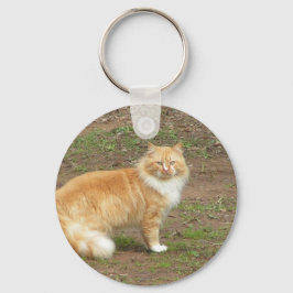 Chaveiro Laranja-pelho e Gato Branco
