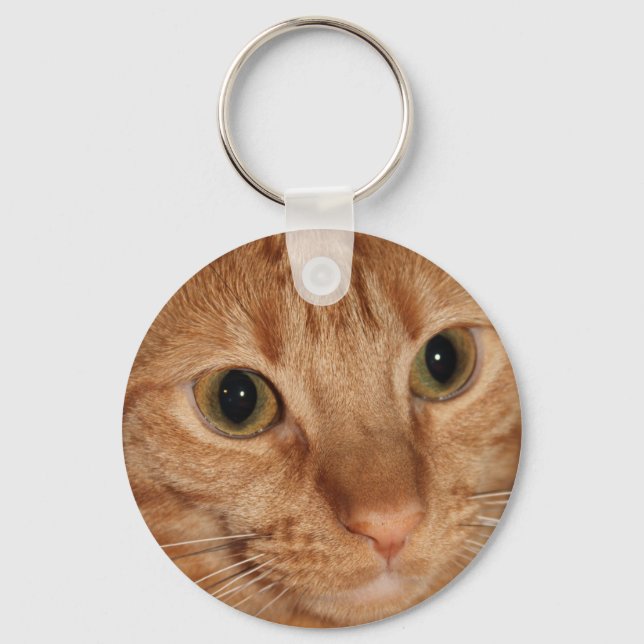 Chaveiro Laranja Tabby Cat Profile Face Close (Fechar) (Frente)