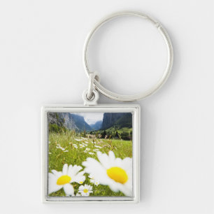 Chaveiro Lauterbrunnen, suiça