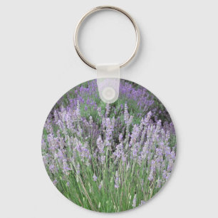 Chaveiro Lavanda francesa bonita de Provence