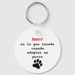 Chaveiro Lavero adoptar un perro