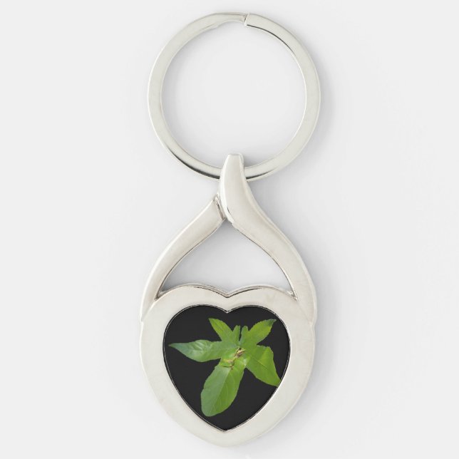 Chaveiro "Leafy Haven: Um pequeno Sapo Verde sobre Folha de (Frente)