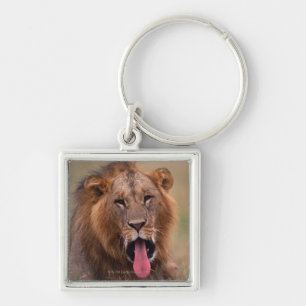 Chaveiro Leão 2