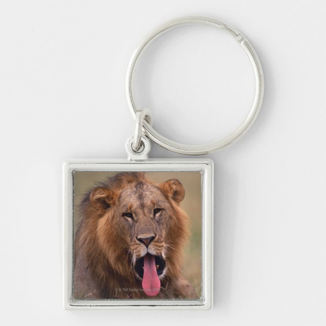 Chaveiro Leão 2 (Frente)