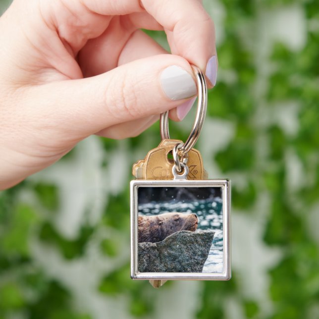 Chaveiro Leão-Do-Mar Na Baía De Ressurreição, Alasca (Mão)