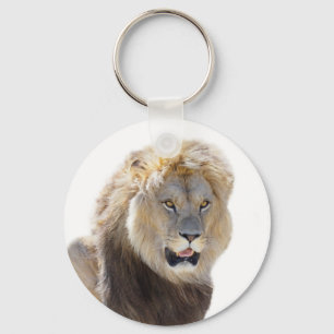 Chaveiro Leão isolado sentado e saindo da sua língua