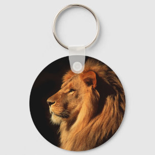 Chaveiro Leão masculino africano fotografado por Steven