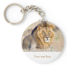 Leão na vida selvagem na África Texto personalizad